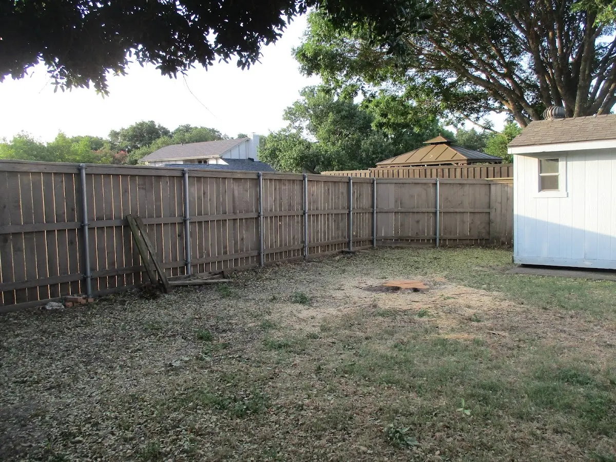 Cleared yard after professional tree removal in West Mineral